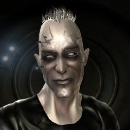 Splash Down — legacy portrait
