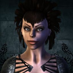 fireBee — legacy portrait