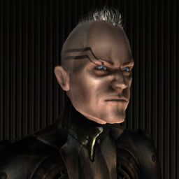 Slanaitheoir — legacy portrait