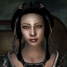 EchoOfIceStorms — legacy portrait