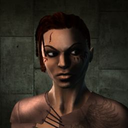 N'tek alar — legacy portrait
