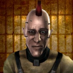 Qei droma — legacy portrait