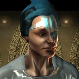 namflog — legacy portrait