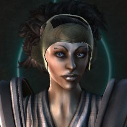 Lampyridae — legacy portrait