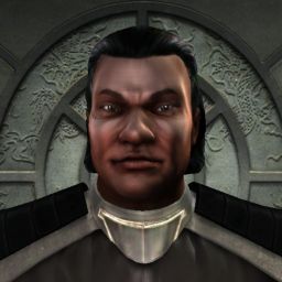 Nikolodze — legacy portrait