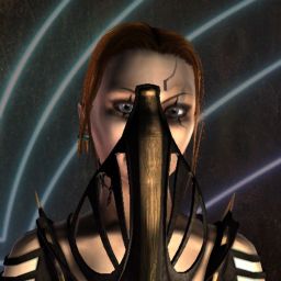 Resources Contested — legacy portrait
