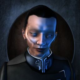 Kyoto cebolla — legacy portrait