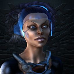 EliteStealth — legacy portrait