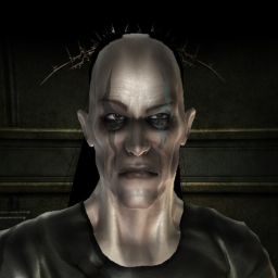 Nijle — legacy portrait