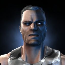 Stridsflygplan — legacy portrait