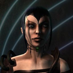 DeFence Me — legacy portrait