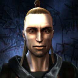 Bereklefou — legacy portrait