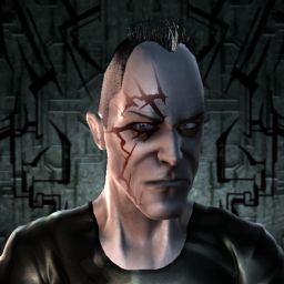 Gwalchgwen — legacy portrait