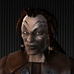 Increm — legacy portrait