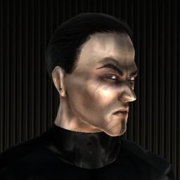 Sir Vicious — legacy portrait