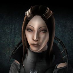 wang88 — legacy portrait