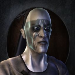 Heidni — legacy portrait