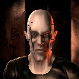 Paradigma — legacy portrait
