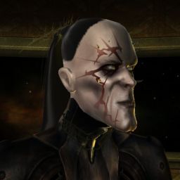 Nimvlar — legacy portrait