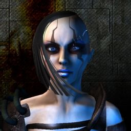 caledis — legacy portrait