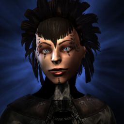Shadow Kitten — legacy portrait