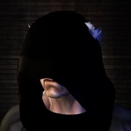 Zigler — legacy portrait