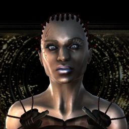 raga'rock — legacy portrait
