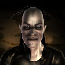 Hum XinIX — legacy portrait