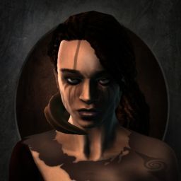 sion911 — legacy portrait
