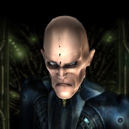 ZEBROY — legacy portrait