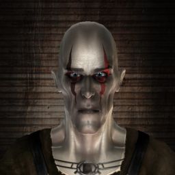 Ton'ko — legacy portrait