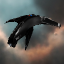 CONCORD SWAT Captain