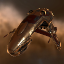 Sarum Navy Major