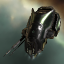 Intaki Defense Fleet Captain
