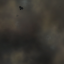 Debris Cloud