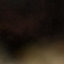 Micro Nebula