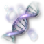 Olufami's DNA