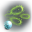 Complex Organisms