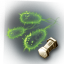 Bacteria