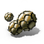 Fullerene Intercalated Graphite