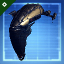 Vangel Blueprint