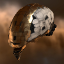 Amarr Sigil Hauler