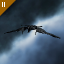 Scarab II