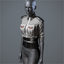 Women's 'Sterling' Dress Blouse (platinum)