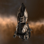 Amarr Apostle Force Auxiliary