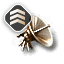Information Command Burst I