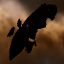 Wrecked Amarr Apocalypse Battleship