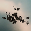 Depleted Asteroid Field