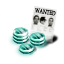 A Stolen Voting Pebble