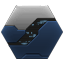 Dominix IGC Victory SKIN